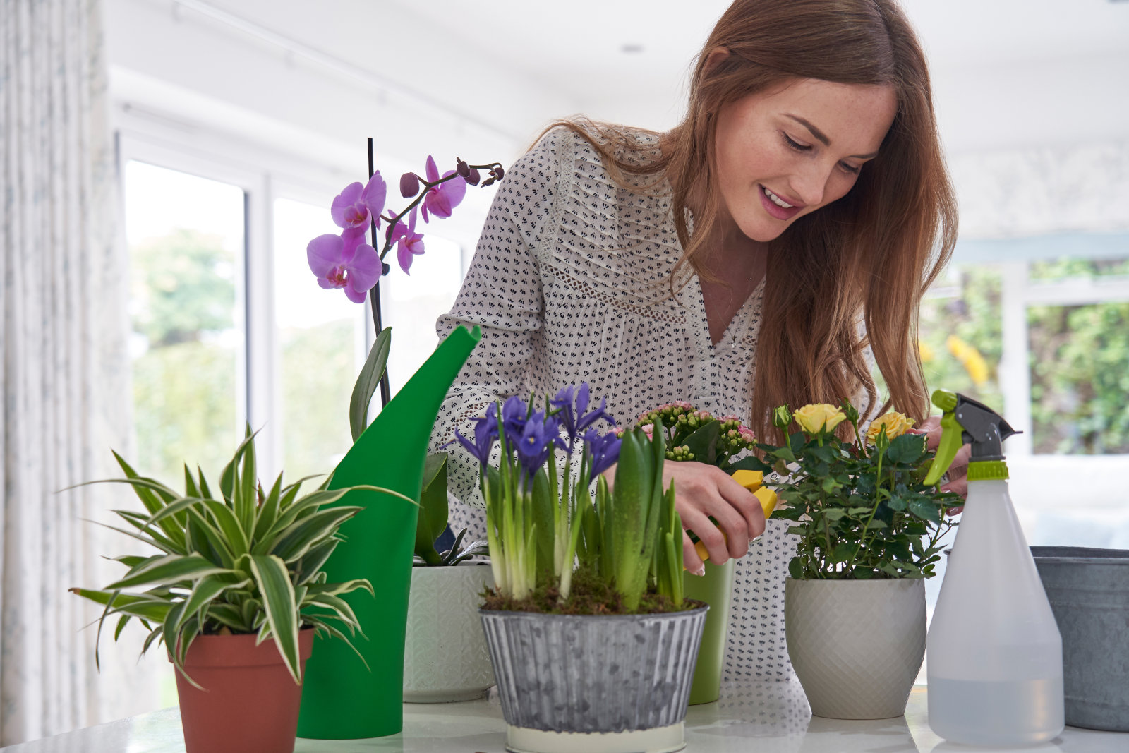 Tasmor Blog | 4 Tips on Growing Healthy Indoor Plants