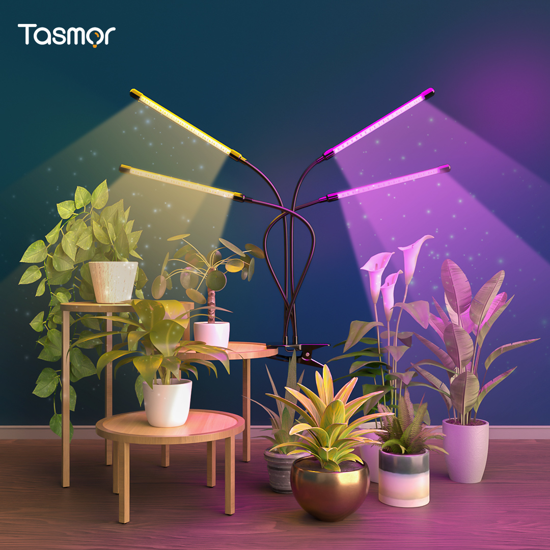 Tasmor Blog| 7 Facts About Grow Lights That You Need to Know